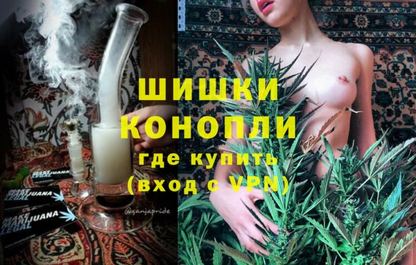 сатива Алексеевка