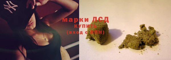 PSILOCYBIN Алзамай
