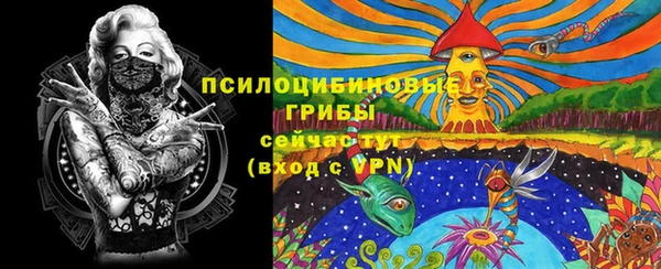 PSILOCYBIN Алзамай