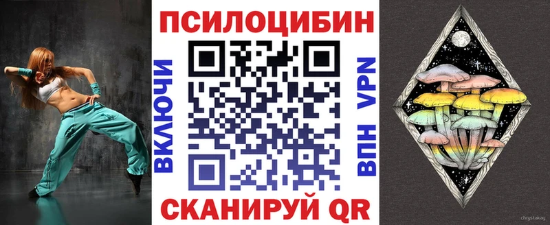 Псилоцибиновые грибы Psilocybe  Ленинск 